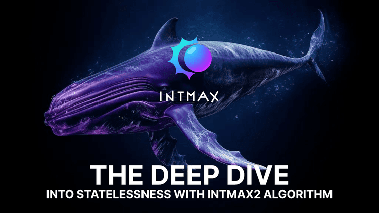 Deep Dive Into INTMAX